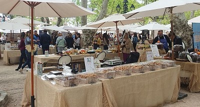 Place des Lices à Saint-Tropez
